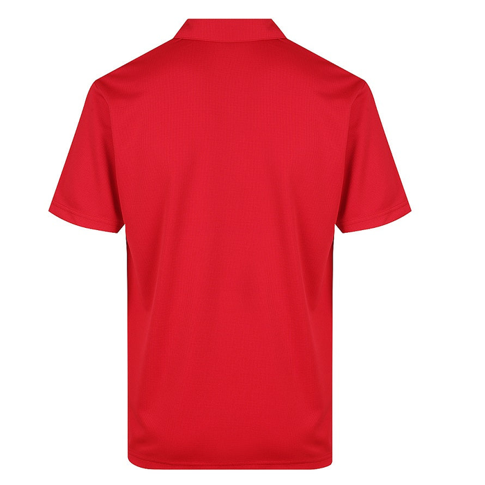 Aussie Pacific N1307 Botany Mens Polos, red, back view