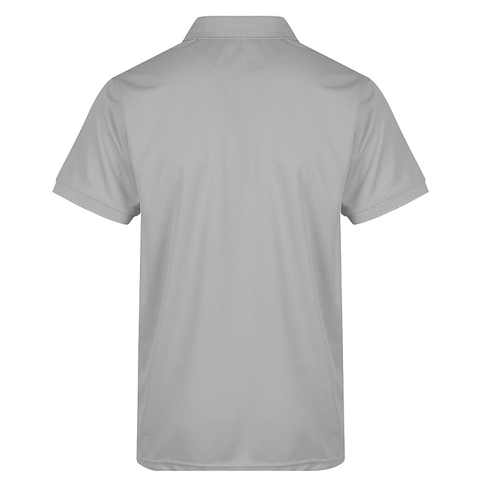 Aussie Pacific N1314 Mens Lachlan Polo, silver back view