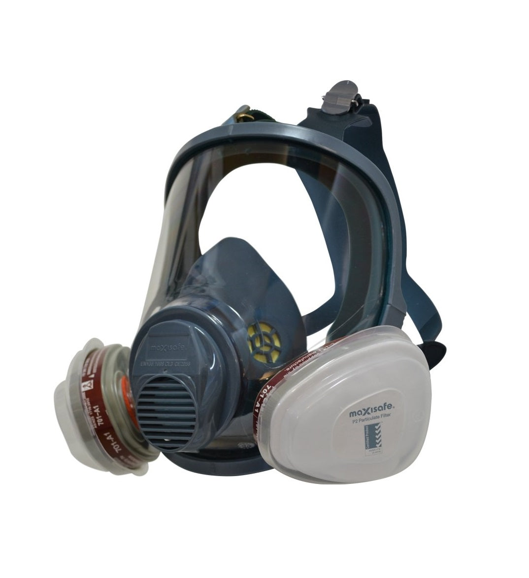 Maxisafe R690PK Maxiguard Full Face Painters Kit