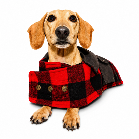 Swanndri SW13901 Classic Wool Dog Coat - Red/Black - Angled View